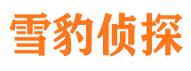 城东市调查公司